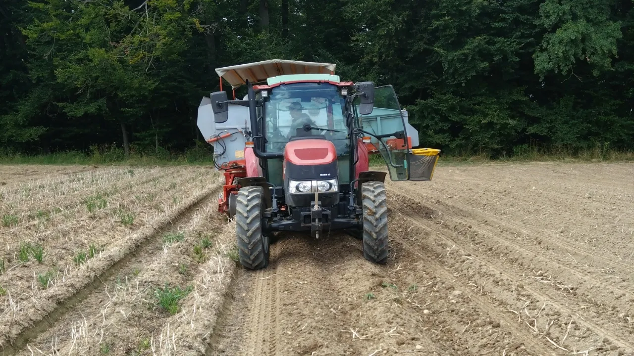 En automne, le risque de lessivage des nitrates augmente considérablement.