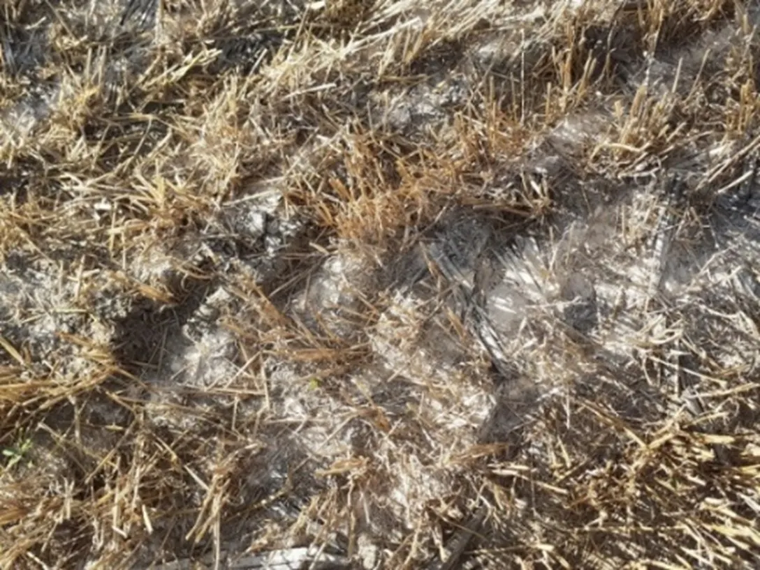 La plupart des entrepreneurs agricoles épandent environ 2000 kg/ha d'un calcaire adapté.