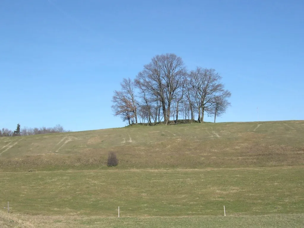 L’épandage des engrais de ferme n’est pas autorisé sur des sols couverts de neige, gelés ou détrempés.