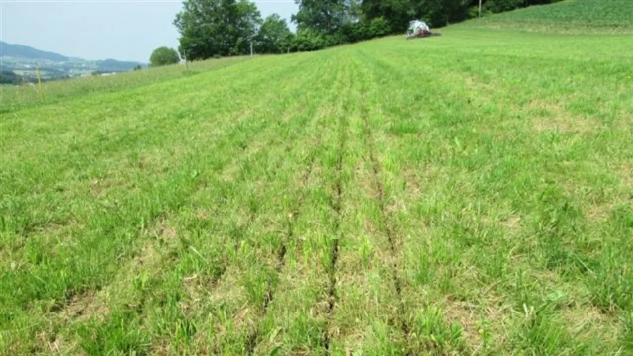 Dans les herbages, les engrais de ferme peuvent être utilisés de manière optimale et avec peu de pertes.