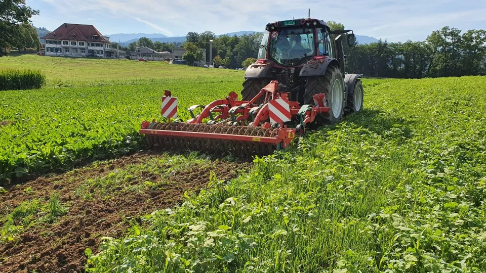 Bonnes pratiques - engrais verts