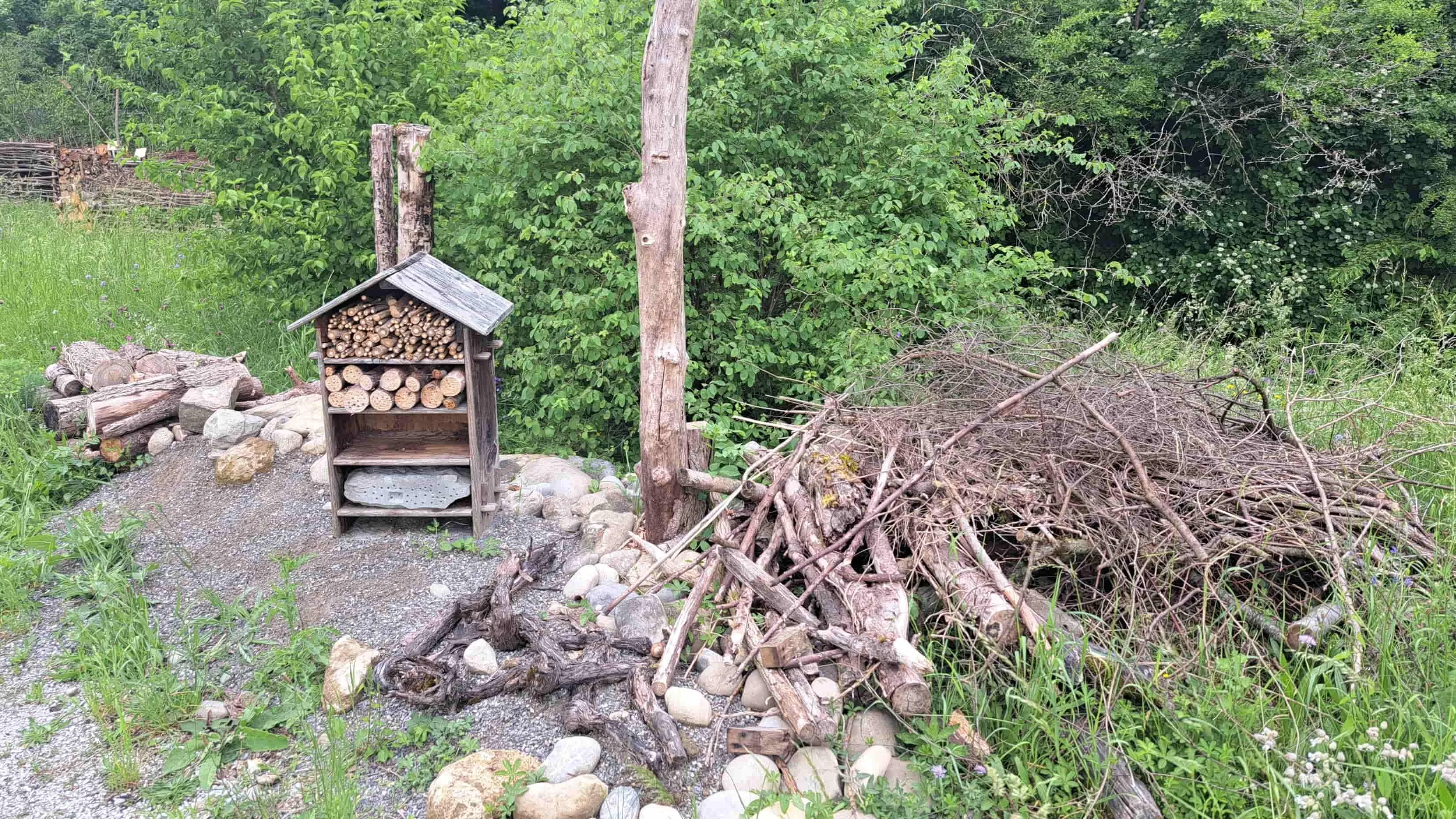 Bonnes pratiques - micro-habitats