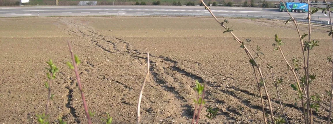 Ravines formées par le ruissellement sur un sol nu en pente, entraînant la terre vers la route en contrebas.