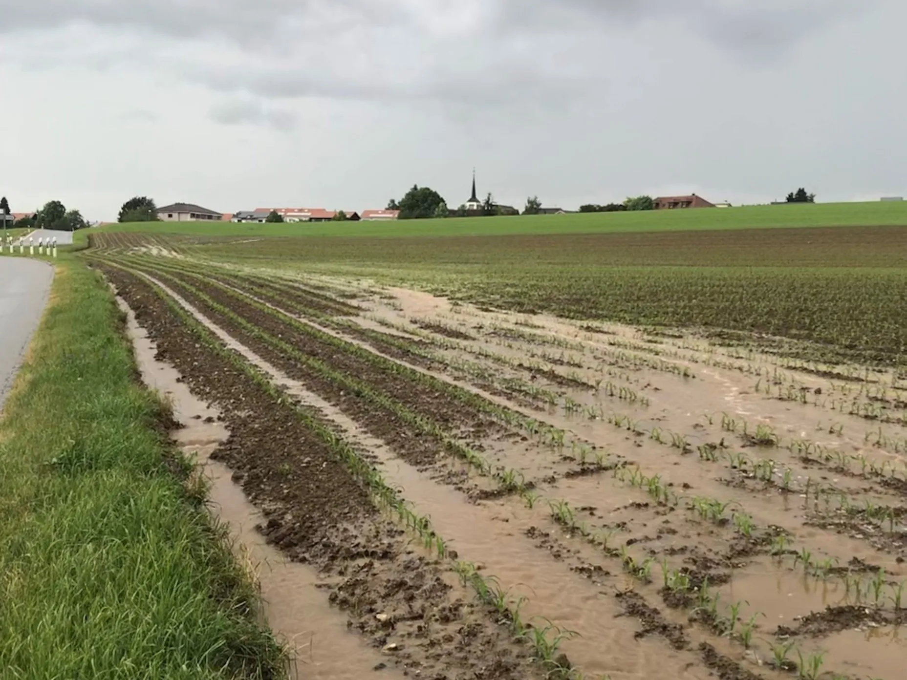 Une raie de charrue évite l’écoulement d’eau et de terre sur la route.