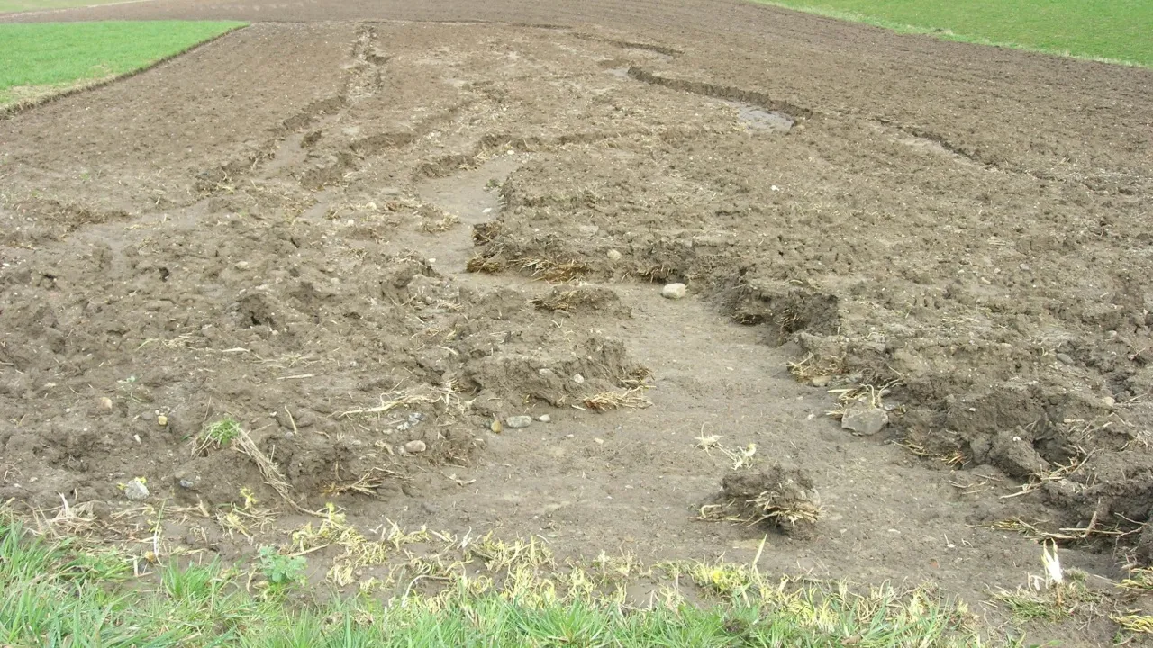 Érosion linéaire sur un champ à très faible pente ; ravines et dépôt de terre fine.