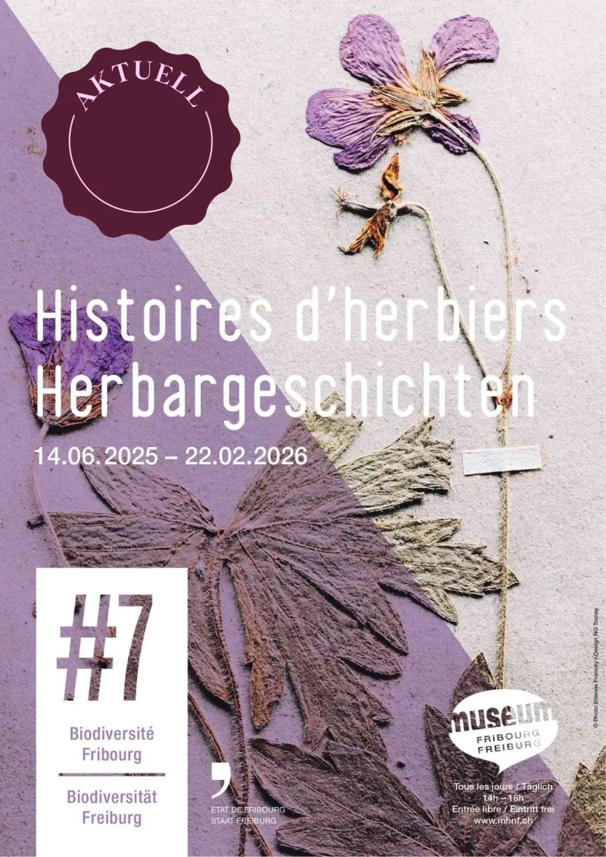 Herbargeschichten - #7 Biodiversität Freiburg