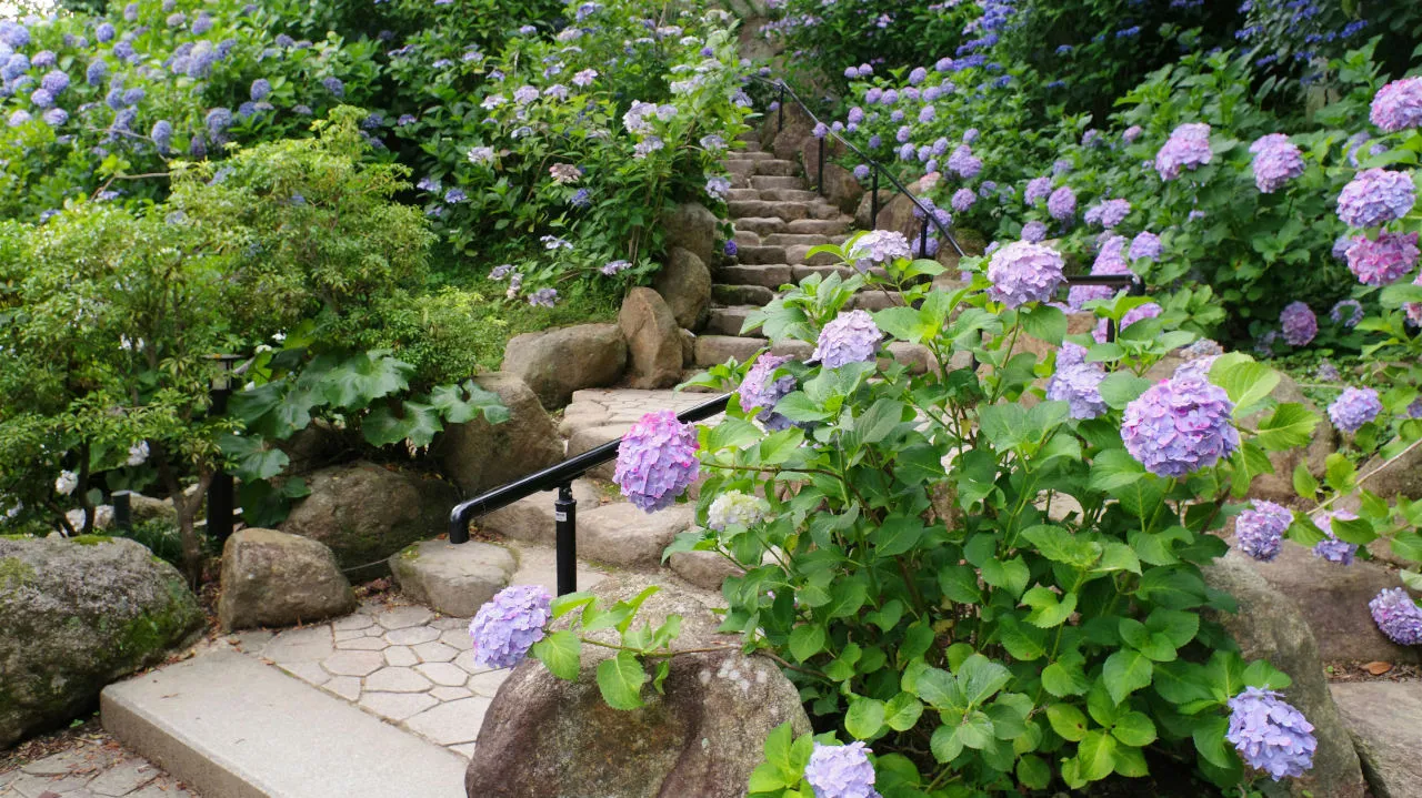 Horticulteur·trice AFP
