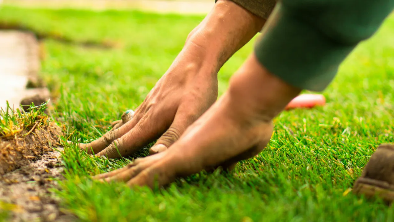 Horticulteur·trice CFC
