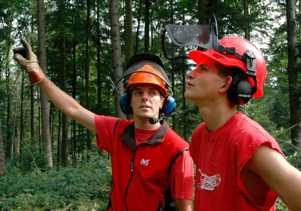 Office d'apprentissage des métiers de la forêt