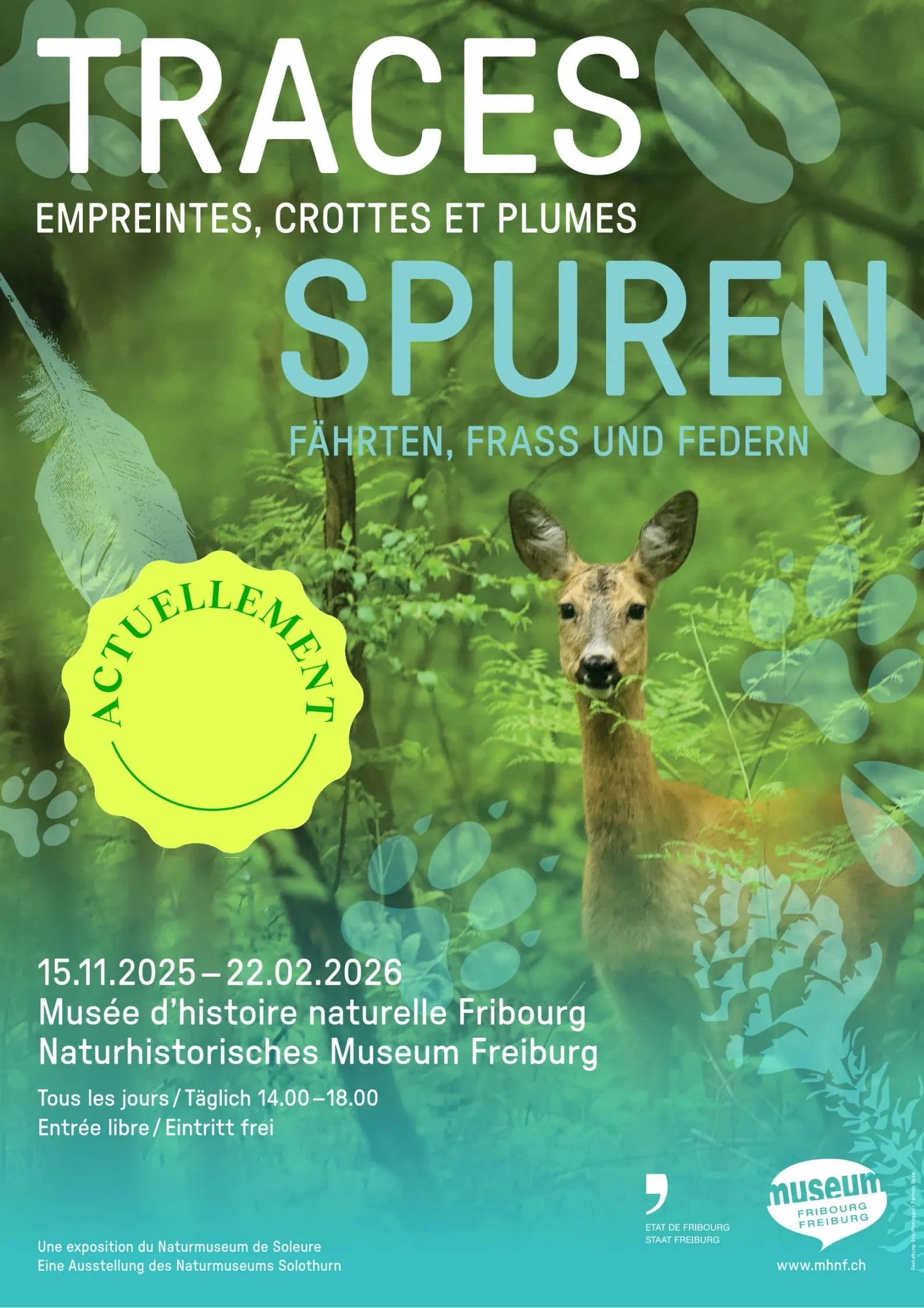 Traces - Empreintes, crottes et plumes