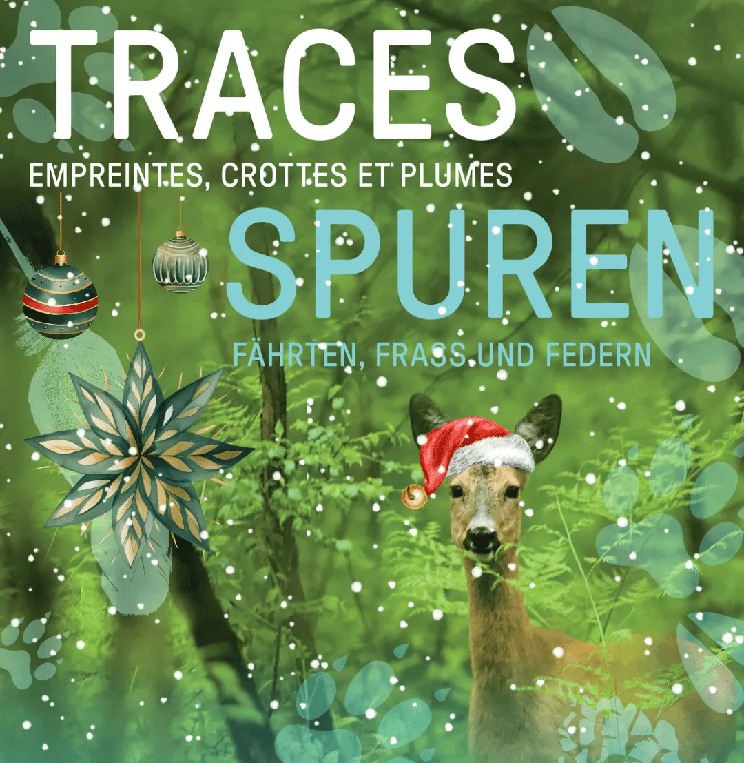 Qui est passé par là ? - Médiation dans l'expo