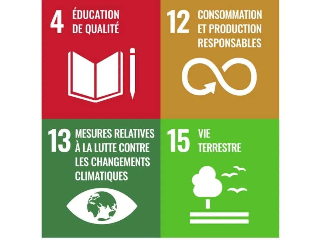 Objectifs de développement durable engagement 1 : Formation
