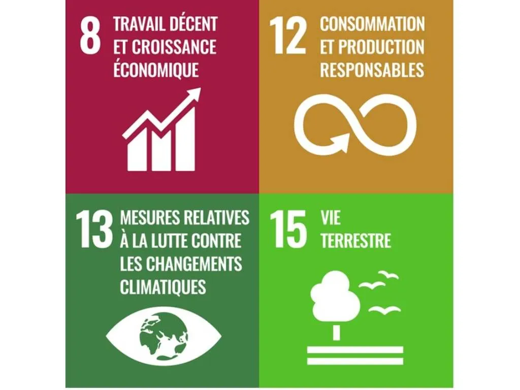 Objectifs de développement durable engagement 2 : Prestations