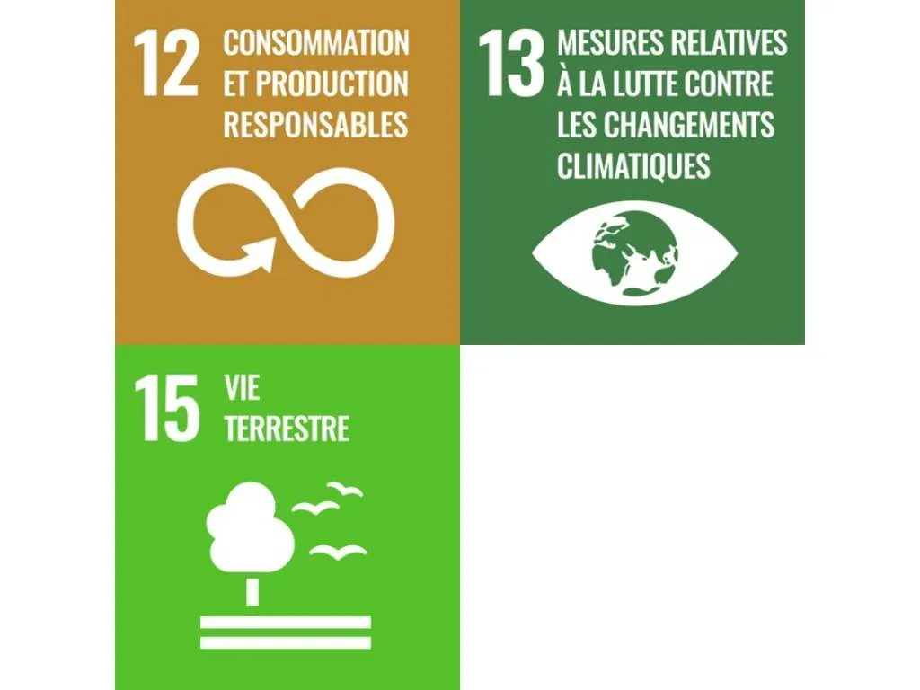 Objectifs de développement durable engagement 3 : Production