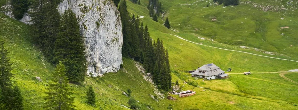 Office d'apprentissage agricole alpage