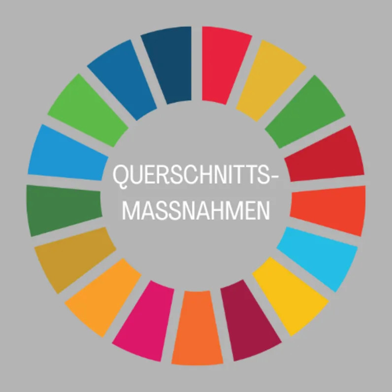 Querschnittsmassnahmen