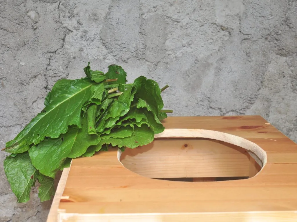 Toilettes rumex
