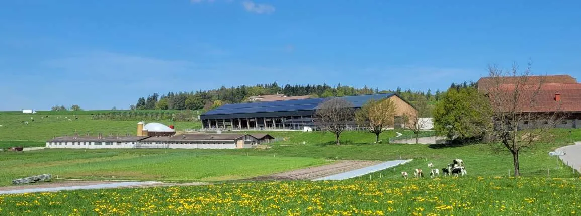 Biogaz et photovoltaique