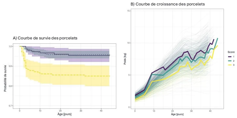Courbes des porcelets