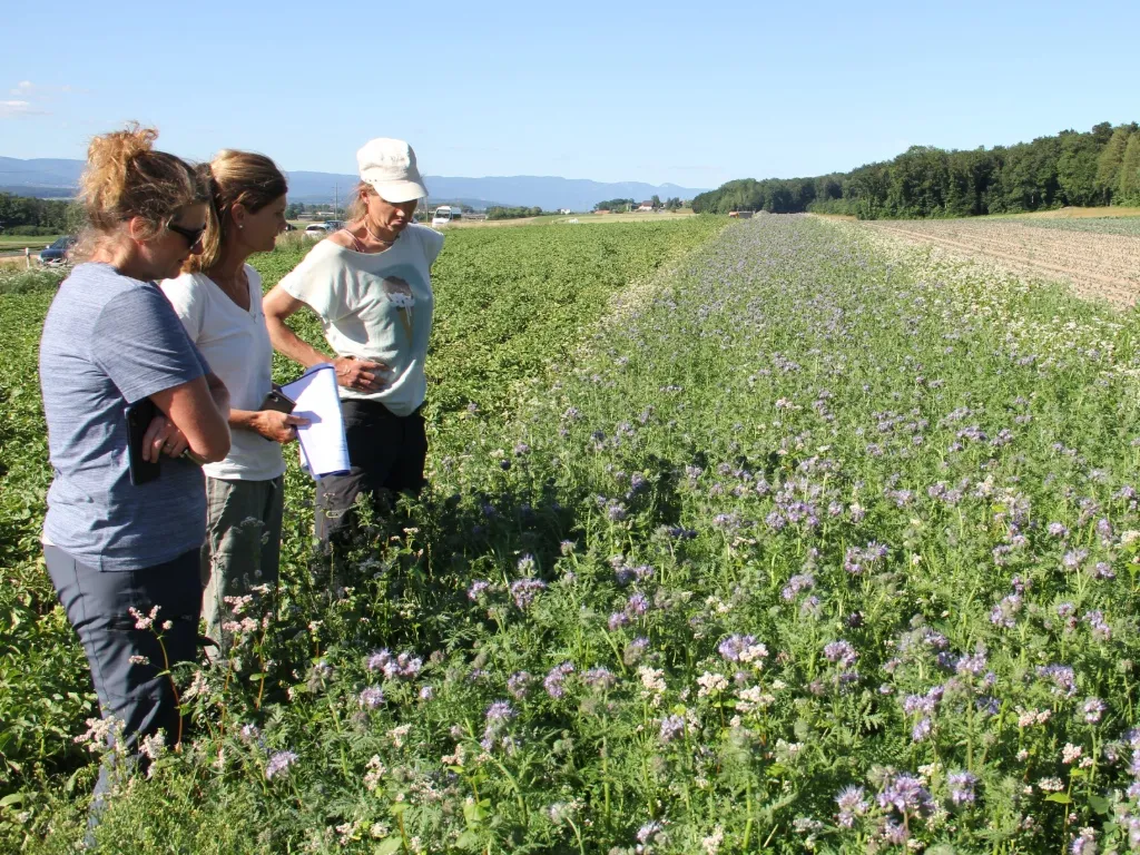 Un conseil individuel sur le terrain