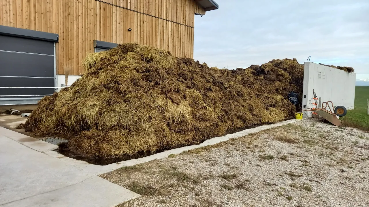 Fumier de 100 bovins en deux mois