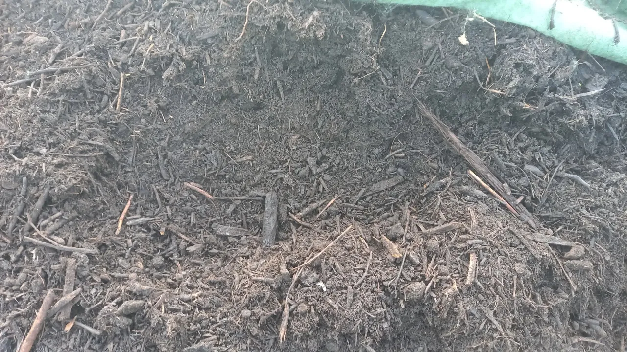 Compost: favorise la formation d’humus