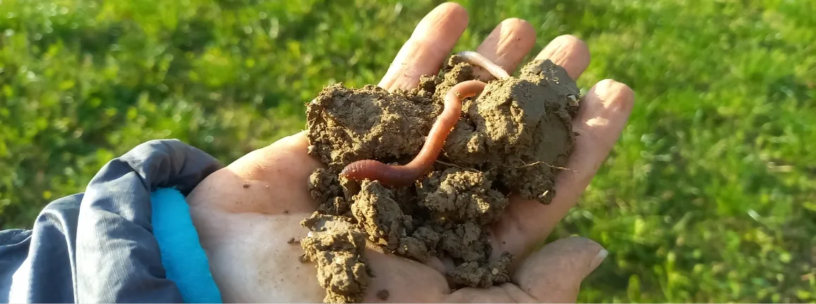 Landwirtschaftliche Böden sind ein wertvolles Kapital, das für die Nahrungsmittelproduktion unverzichtbar ist.