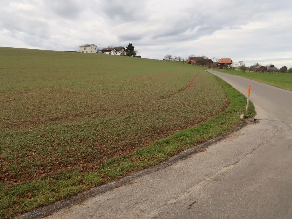Route drainée