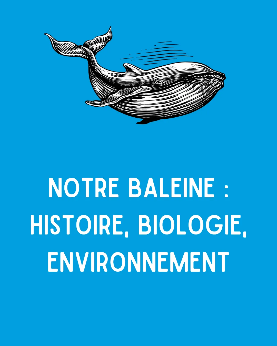 Bis bald Baleine !