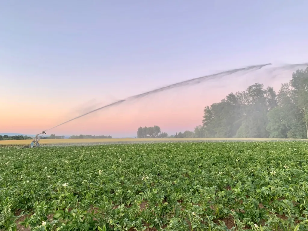 Irrigation