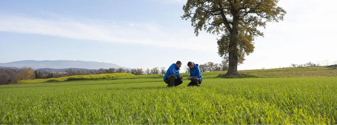 Service phytosanitaire