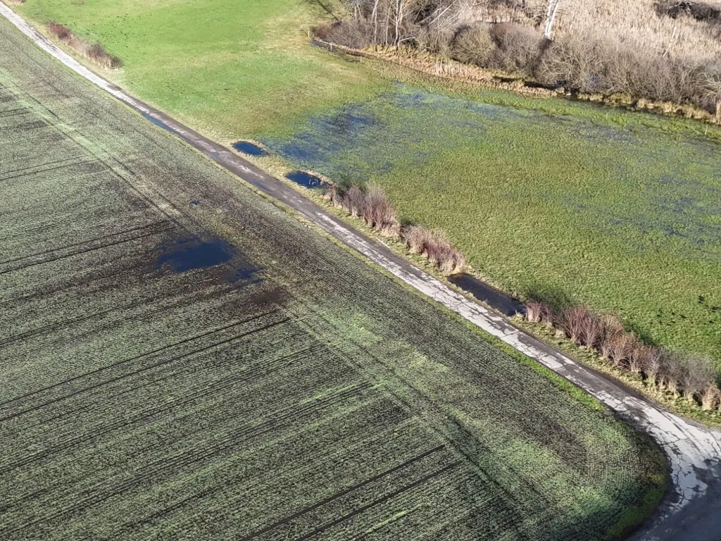 Cette surface peu productive peut être valorisée en créant une zone humide temporaire favorable à la biodiversité.