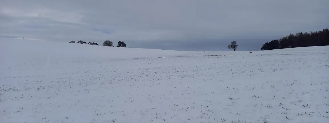 L’épandage des engrais de ferme n’est pas autorisé sur des sols couverts de neige, gelés ou détrempés.