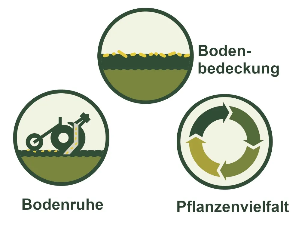 Die drei Säulen der konservierenden Landwirtschaft