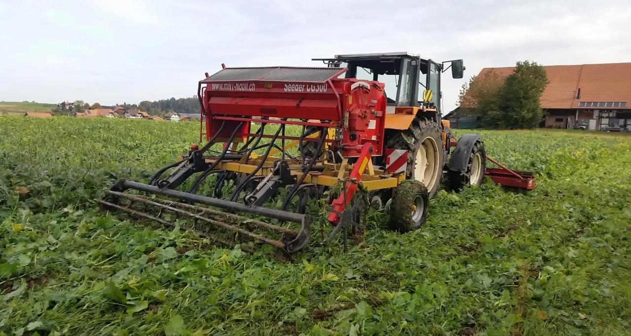 Semis sous couvert
