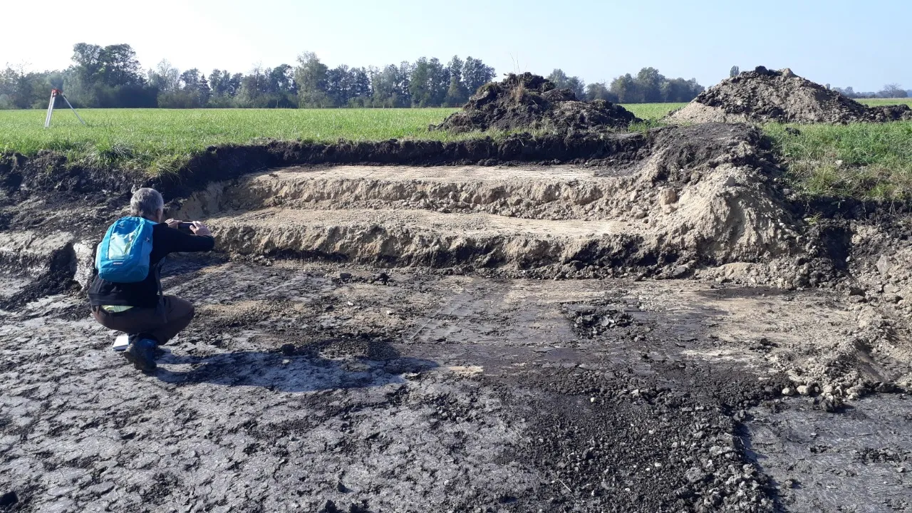 Travaux de réhabilitation d’un sol organique ayant perdu sa fertilité.