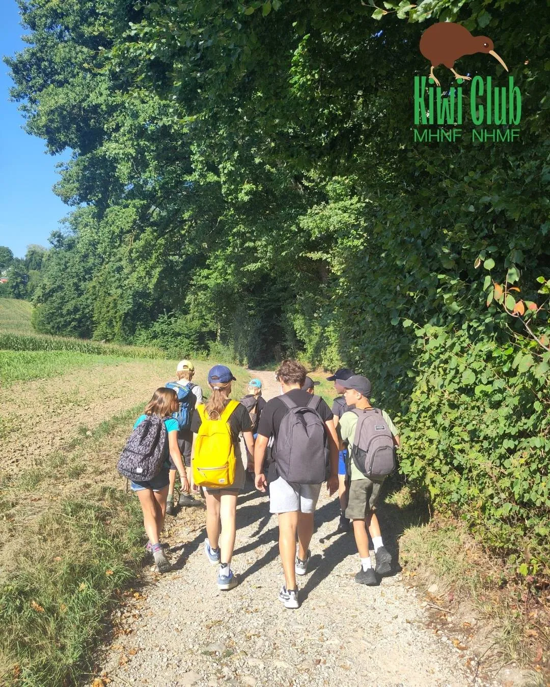 Kiwi Club