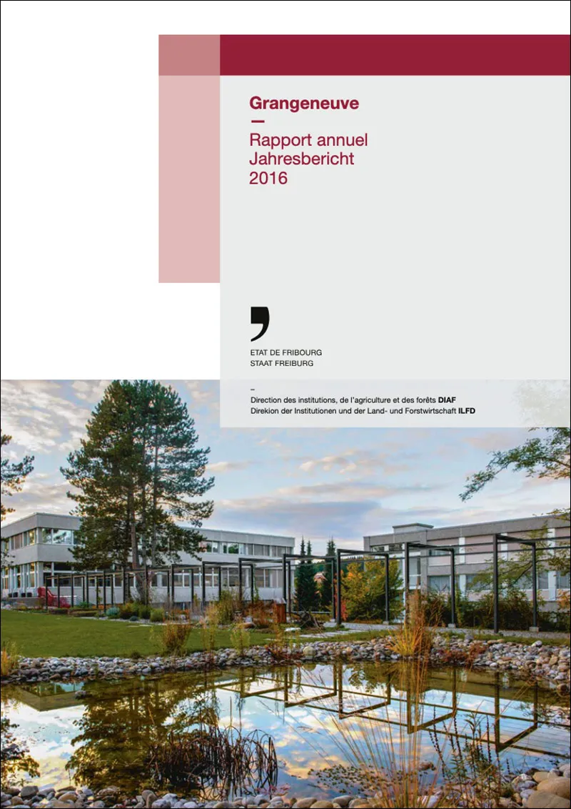 Rapport Annuel 2016 v2