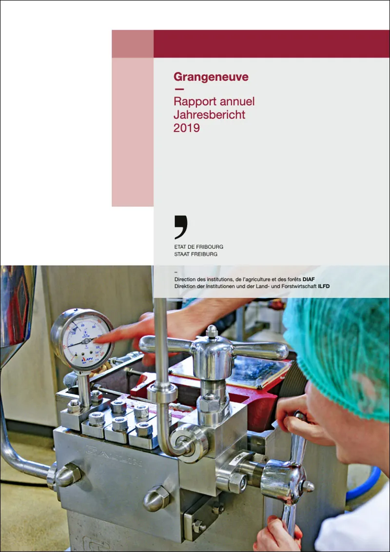 Rapport Annuel 2019