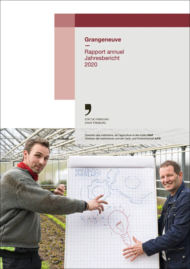 Rapport Annuel 2020