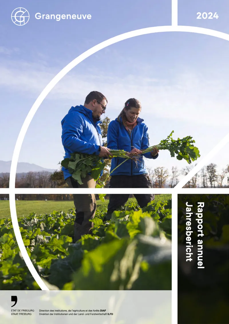 Rapport Annuel 2024