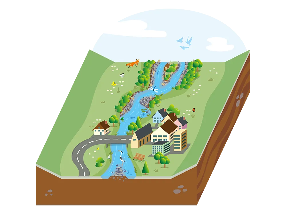 Après revitalisation