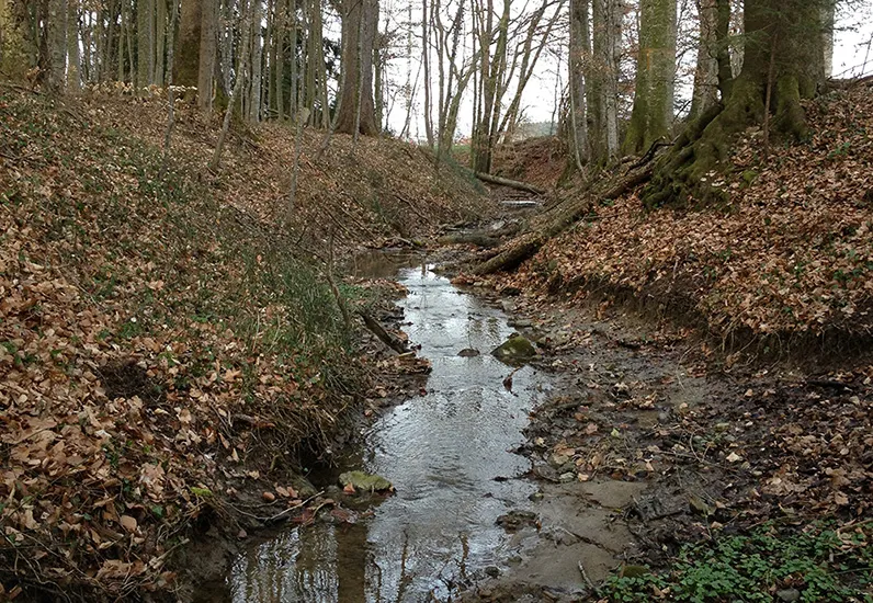 Ecomorphologie des cours d'eau. Classe I : naturel/semi-naturel