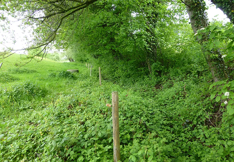 Ecomorphologie des cours d'eau. Classe II : peu atteint