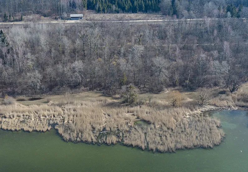 Ecomorphologie des lacs. Classe I : naturel/semi-naturel