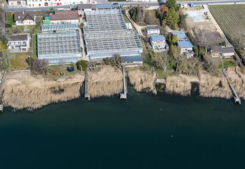 Ecomorphologie des lacs. Classe II : peu atteint