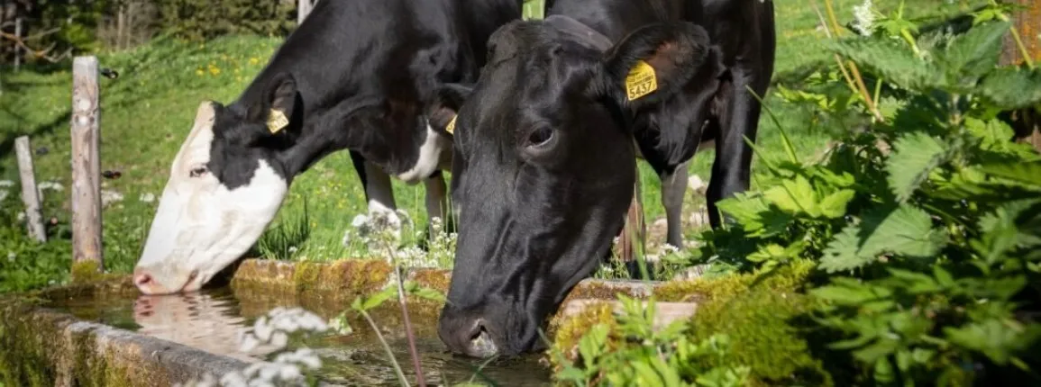 Approvisionnement en eau et des alpages