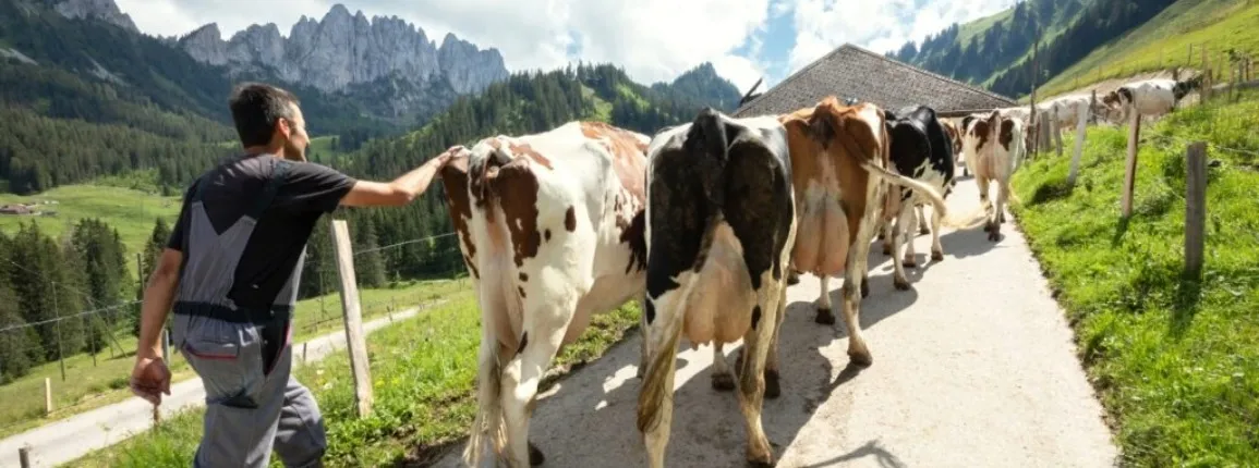 Dessertes agricoles
