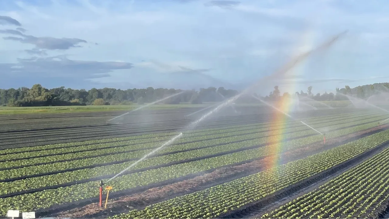 Le réseau d'irrigation est un projet du groupe grandes cultures et séléction végétale de la HAFL à Zollikofen.