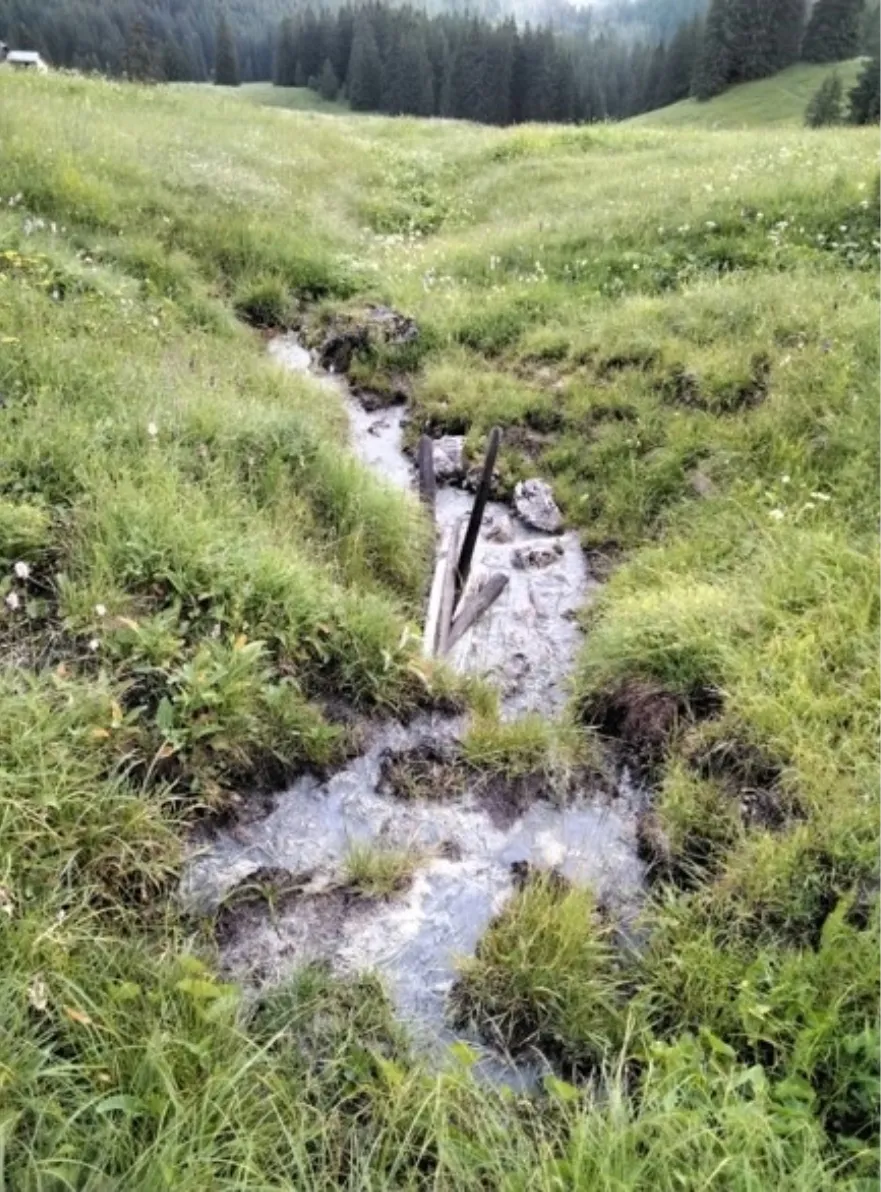 Une source naturelle n’est pas toujours spectaculaire, mais elle abrite souvent des espèces rares et typiques du milieu.